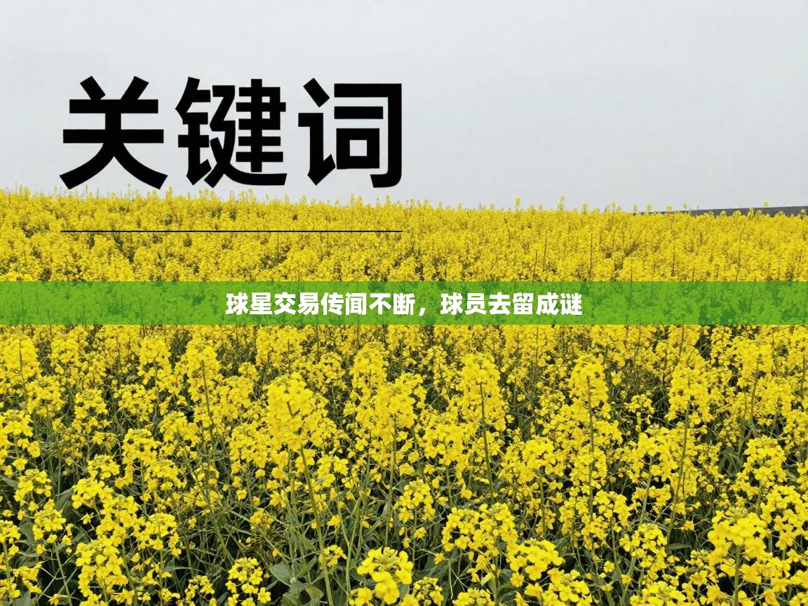 球星交易传闻不断，球员去留成谜  第2张