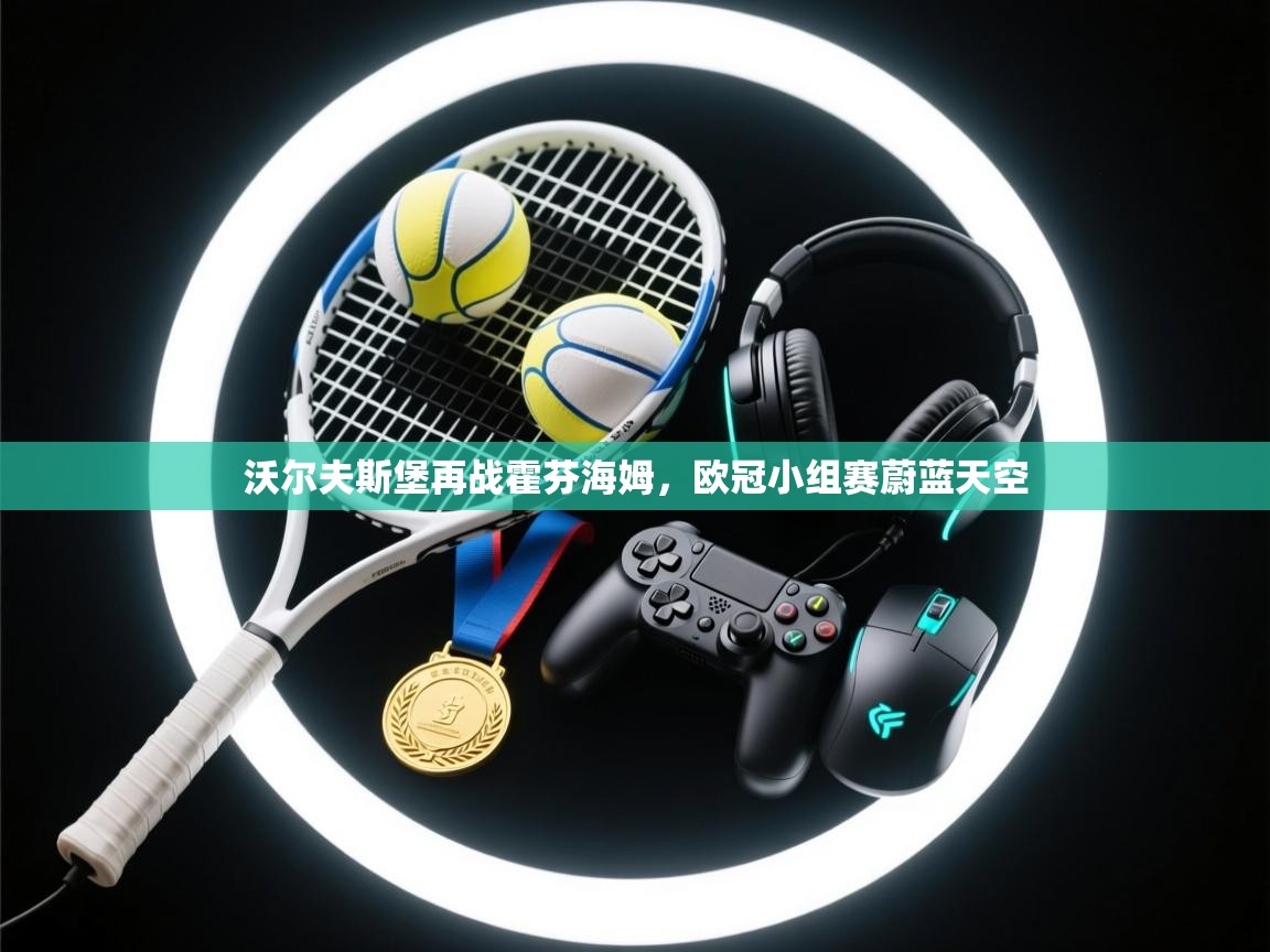 沃尔夫斯堡再战霍芬海姆,欧冠小组赛蔚蓝天空 第1张