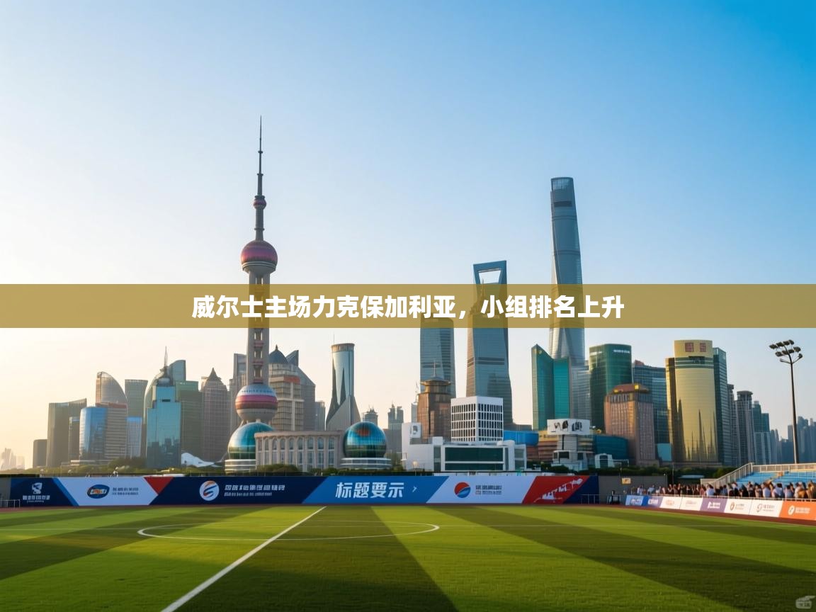 威尔士主场力克保加利亚，小组排名上升  第1张