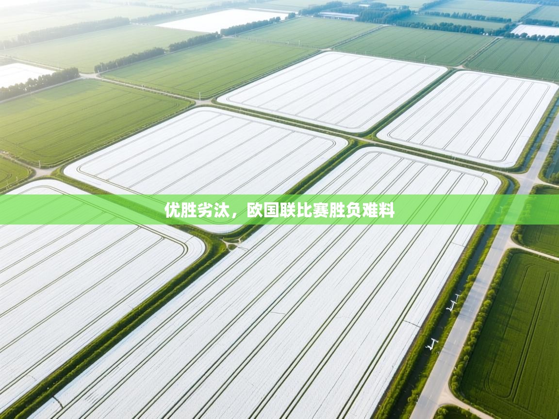 优胜劣汰，欧国联比赛胜负难料  第1张