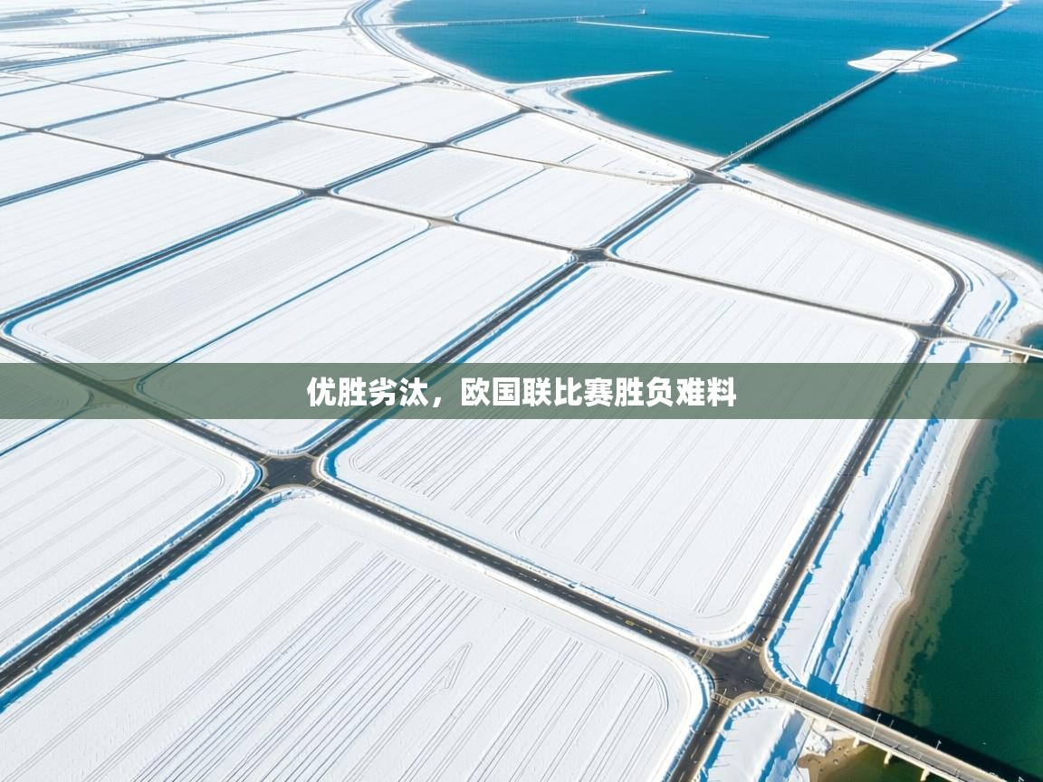 优胜劣汰，欧国联比赛胜负难料  第2张